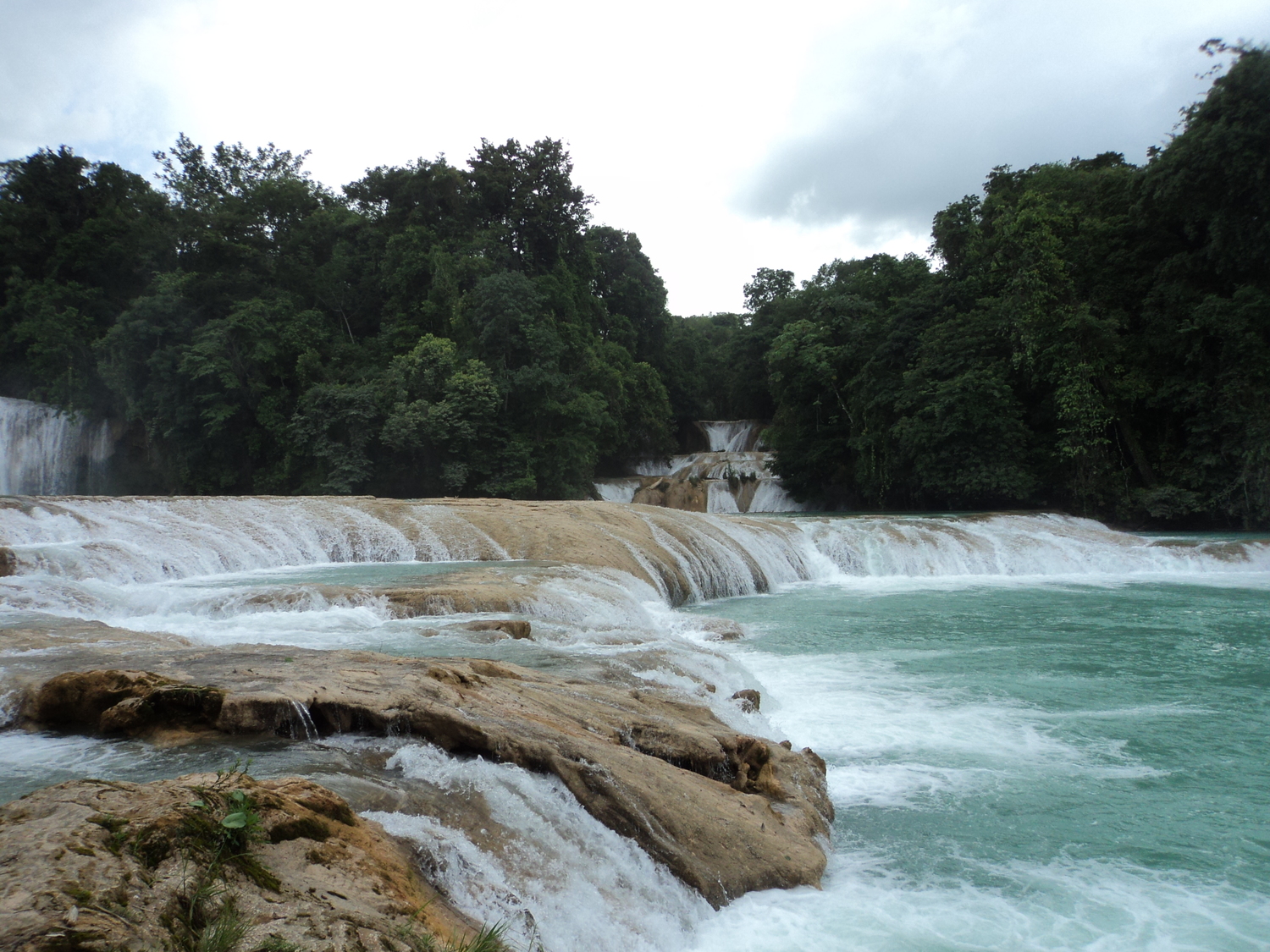 <span style="font-weight: bold;">TOUR CHIAPAS JULIO 2018</span> 